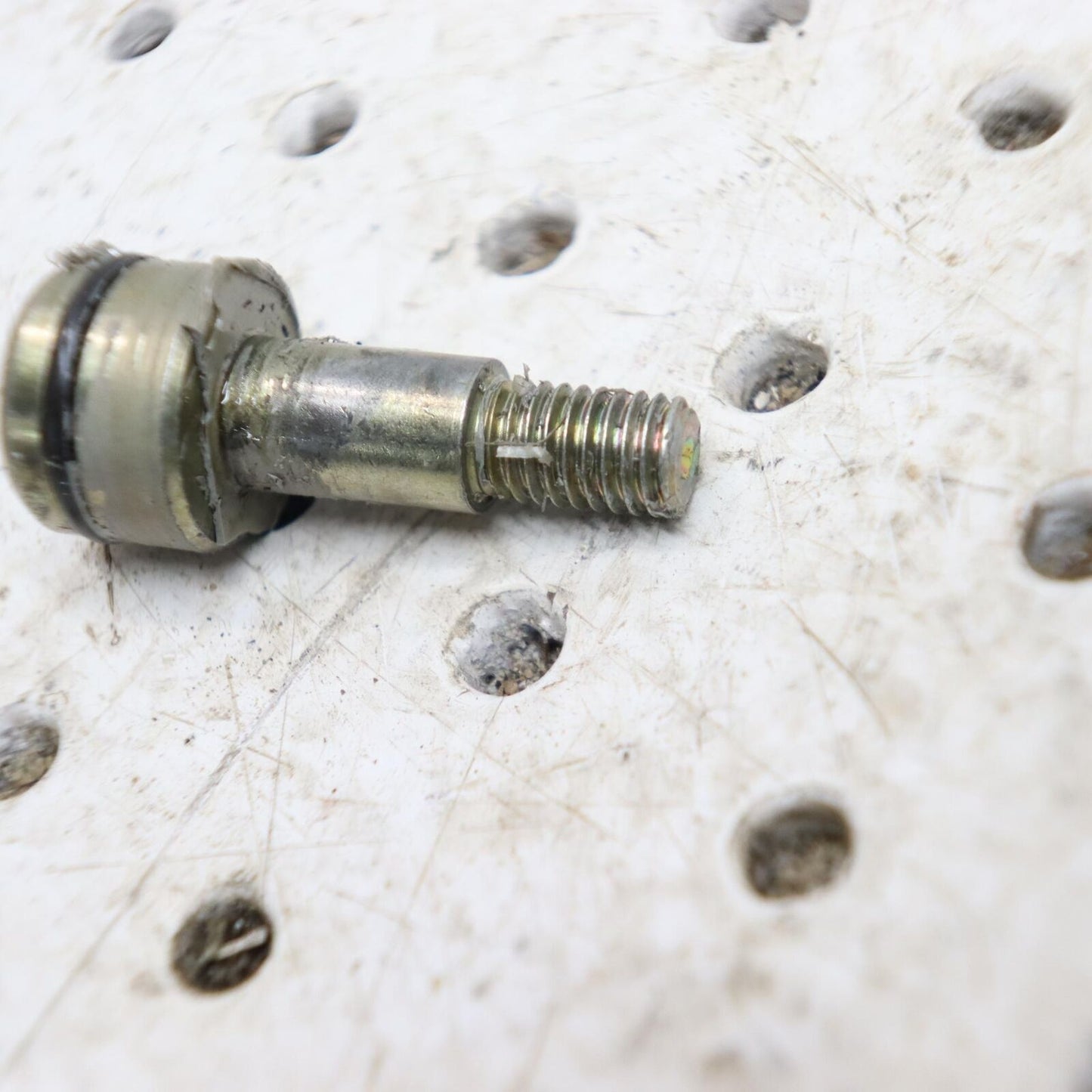 2009 POLARIS SPORTSMAN XP 850 BOLT BOLT 5136320