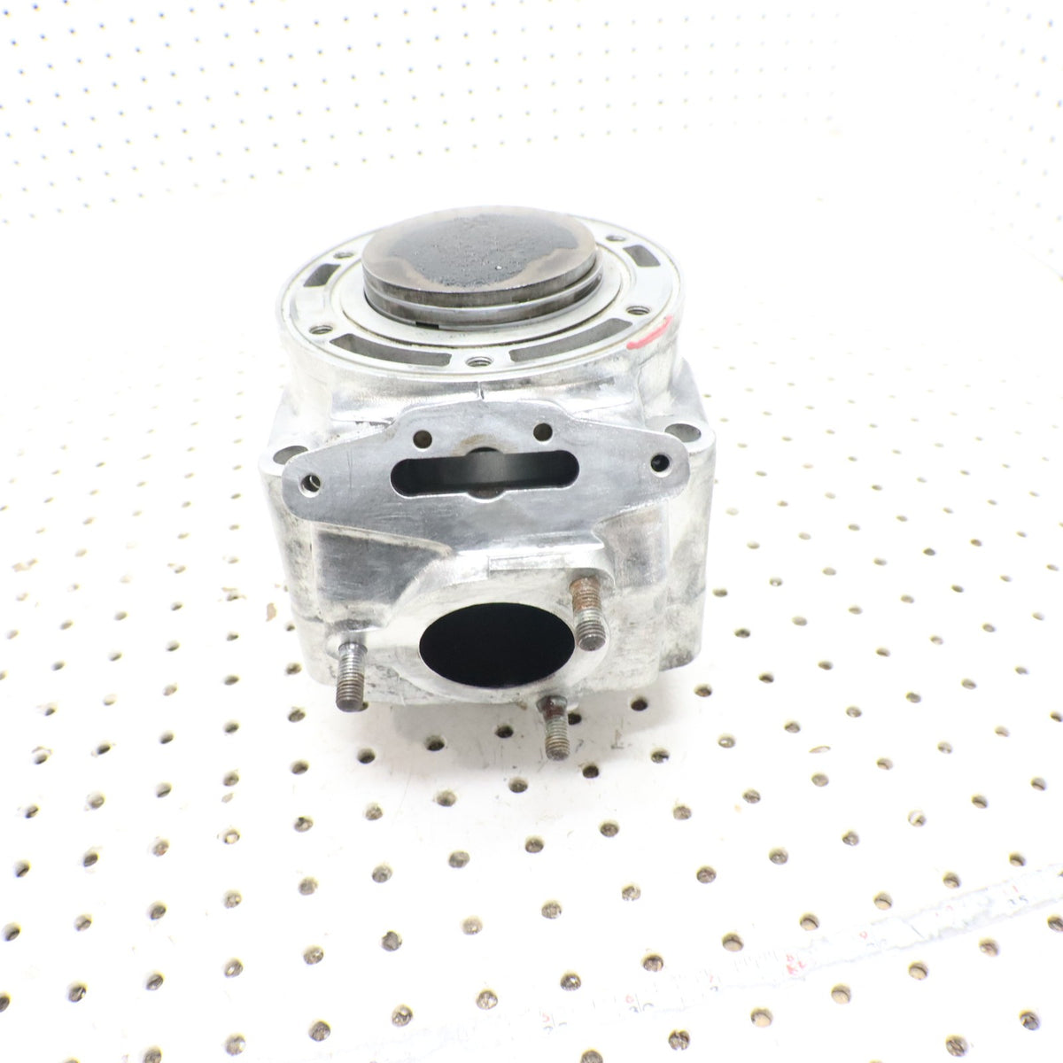 2007 Arctic Cat F6 Cylinder Jug 3006-643 ; 3006-645