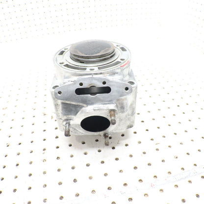 2007 Arctic Cat F6 Cylinder Jug 3006-643 ; 3006-645