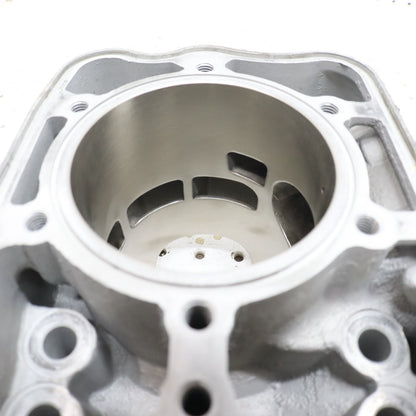 2017 Polaris Pro Rmk 800 Cylinder Jug 3022828 GOOD!