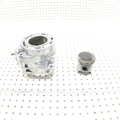 2007 Arctic Cat F6 Cylinder Jug 3006-643 ; 3006-645