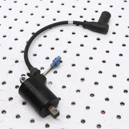 2006 POLARIS CLASSIC 700 IGNITION COIL 4011104