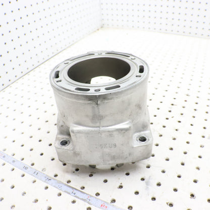 2012 Arctic Cat Proclimb M800 Cylinder Jug 3007-849