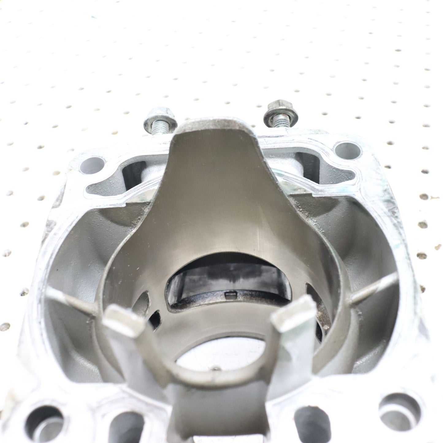 2012 Arctic Cat Proclimb M800 Cylinder Jug GOOD! 3007-849