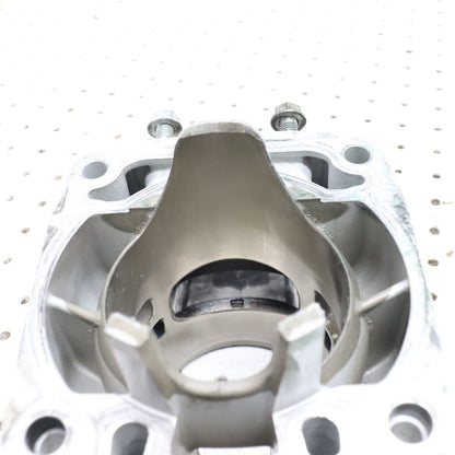 2012 Arctic Cat Proclimb M800 Cylinder Jug GOOD! 3007-849