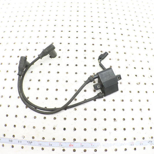 2007 Polaris Iq 600 Ignition Coil 4060229; 4016199