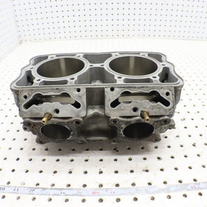 2017 Polaris Pro Rmk 800 Cylinder Jug 3022828 GOOD!