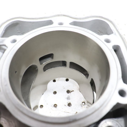 2017 Polaris Pro Rmk 800 Cylinder Jug 3022828 GOOD!