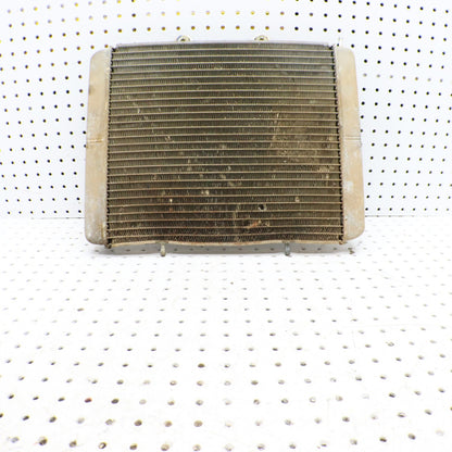 2009 Polaris Rzr 800 Radiator 1240319; 1241480 