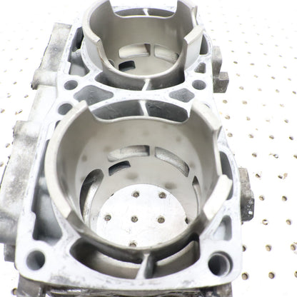 2017 Polaris Pro Rmk 800 Cylinder Jug 3022828 GOOD!