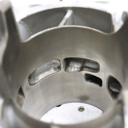 2012 Arctic Cat Proclimb M800 Cylinder Jug 3007-849