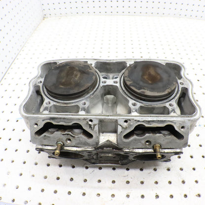 2016 Polaris Rush 800 Cylinder Jug 3022828 GOOD & PISTONS 2206158 2208214