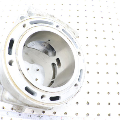 2009 Arctic Cat Crossfire R 8 Cylinder Jug 3007-522