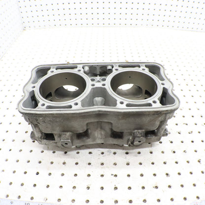 2017 Polaris Pro Rmk 800 Cylinder Jug 3022828 GOOD!
