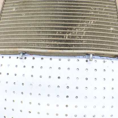 2009 Polaris Rzr 800 Radiator 1240319; 1241480 