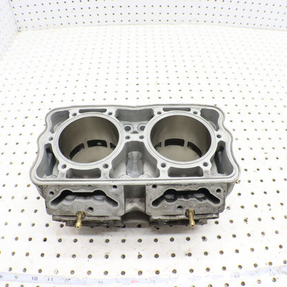 2017 Polaris Pro Rmk 800 Cylinder Jug 3022828 GOOD!