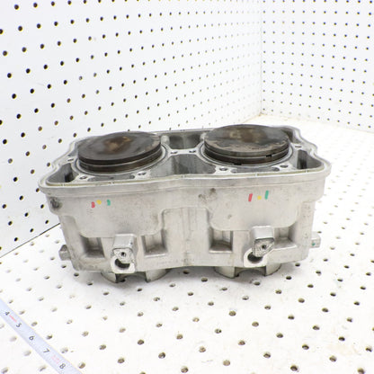 2016 Polaris Rush 800 Cylinder Jug 3022828 GOOD & PISTONS 2206158 2208214