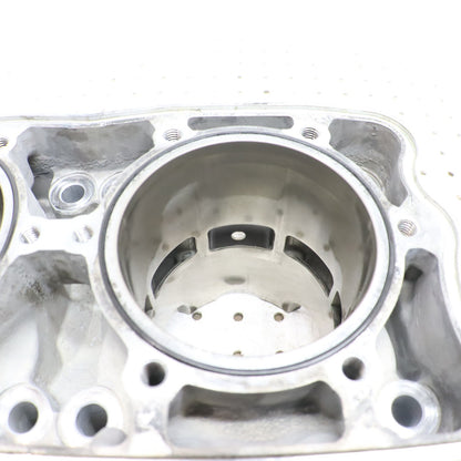 2016 Polaris Rush 800 Cylinder Jug 3022828 GOOD & PISTONS 2206158 2208214
