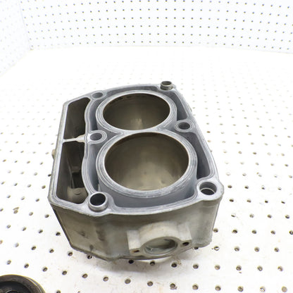 2008 Polaris Sportsman 800 Cylinder & PISTONS 2202696; 2203911