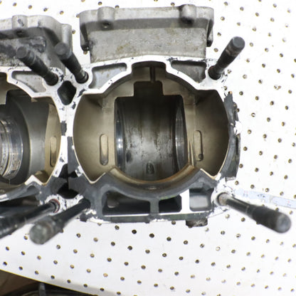 2007 Polaris Iq 600 Crankcase Engine Case Motor Case Crank Case 2203037; 1202738