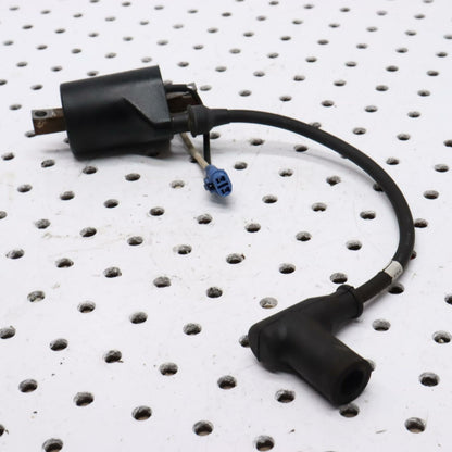 2006 POLARIS CLASSIC 700 IGNITION COIL 4011104