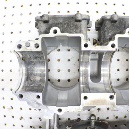 2017 Polaris Pro Rmk 800 Crankcase Engine Case Motor Case 2205651; 2207329 