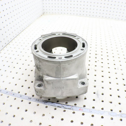 2012 Arctic Cat Proclimb M800 Cylinder Jug 3007-849