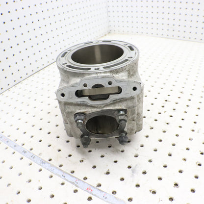 2012 Arctic Cat Proclimb M800 Cylinder Jug 3007-849