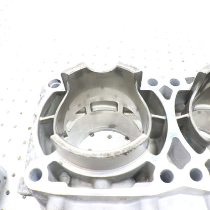 2016 Polaris Rush 800 Cylinder Jug 3022828 GOOD & PISTONS 2206158 2208214