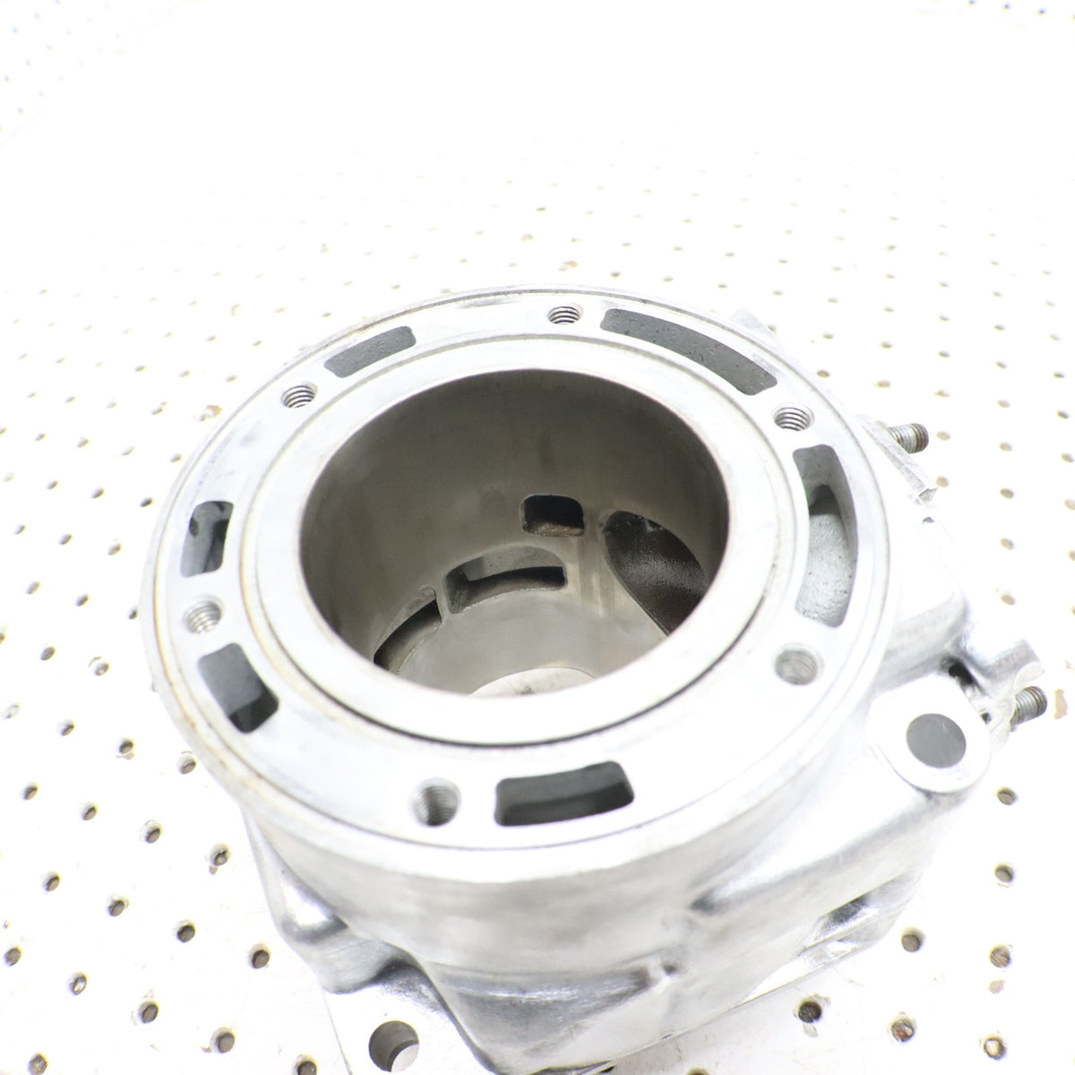 2007 Arctic Cat F6 Cylinder Jug 3006-643 ; 3006-645