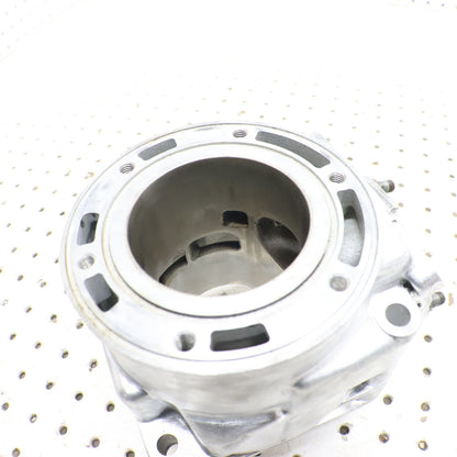 2007 Arctic Cat F6 Cylinder Jug 3006-643 ; 3006-645