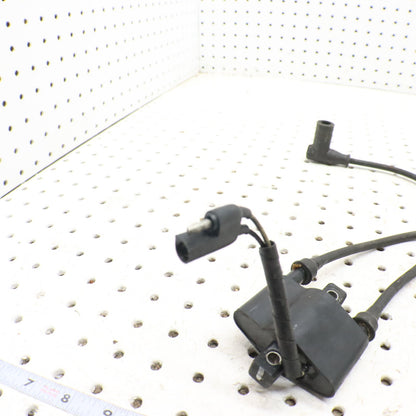 2007 Polaris Iq 600 Ignition Coil 4060229; 4016199