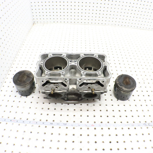 2016 Polaris Rush 800 Cylinder Jug 3022828 GOOD & PISTONS 2206158 2208214