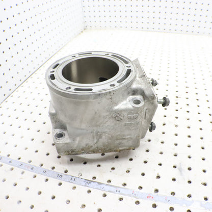 2012 Arctic Cat Proclimb M800 Cylinder Jug 3007-849