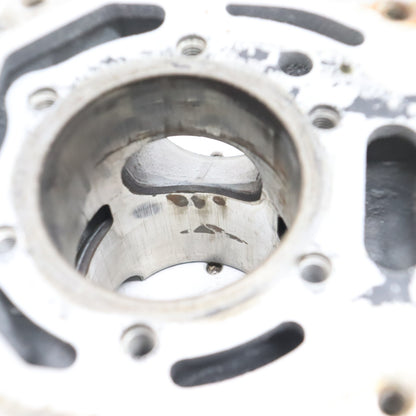 1995 Polaris Xcr 600 Cylinder Jug CORE 3085049