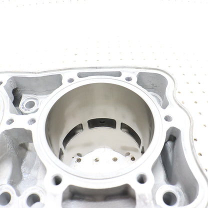 2017 Polaris Pro Rmk 800 Cylinder Jug 3022828 GOOD!
