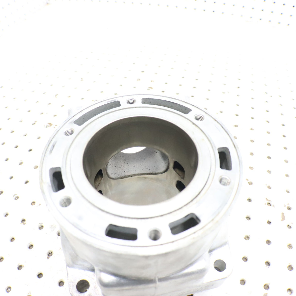 2007 Arctic Cat F6 Cylinder Jug 3006-643 ; 3006-645