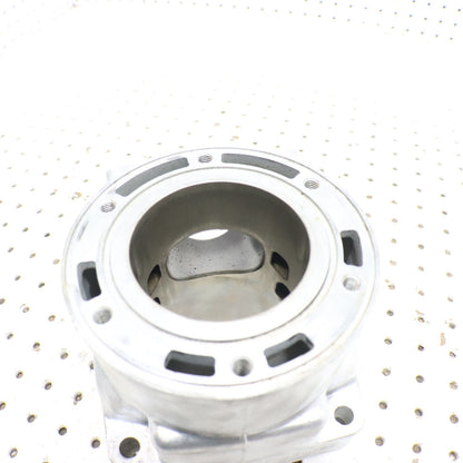 2007 Arctic Cat F6 Cylinder Jug 3006-643 ; 3006-645