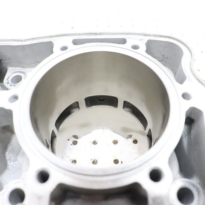 2017 Polaris Pro Rmk 800 Cylinder Jug 3022828 GOOD!