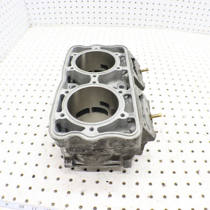 2017 Polaris Pro Rmk 800 Cylinder Jug 3022828 GOOD!
