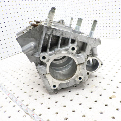 2007 ARCTIC CAT F5 CRANK CASE ENGINE CASE 3007-612