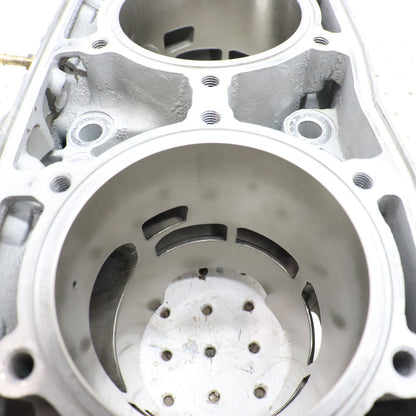 2017 Polaris Pro Rmk 800 Cylinder Jug 3022828 GOOD!