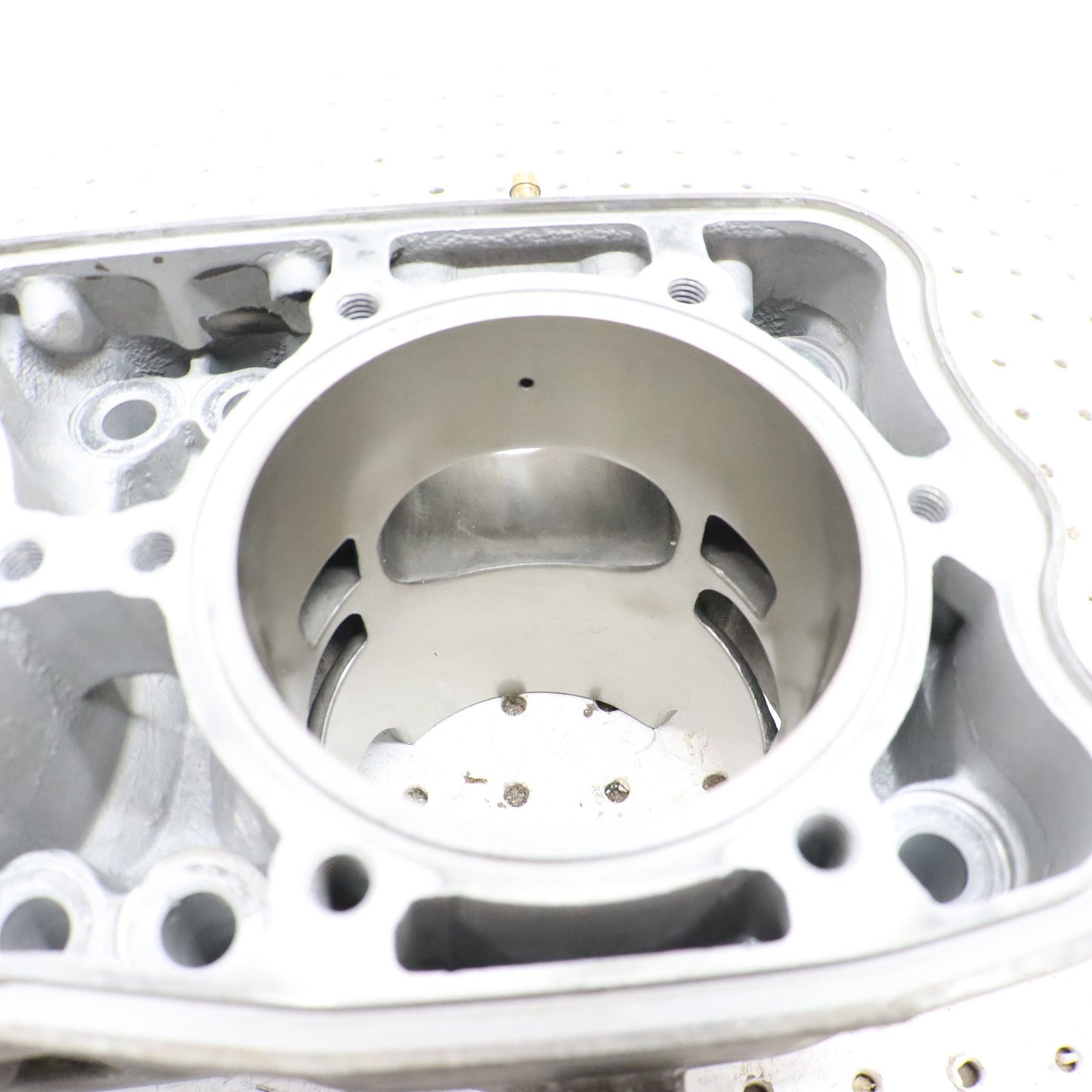 2017 Polaris Pro Rmk 800 Cylinder Jug 3022828 GOOD!