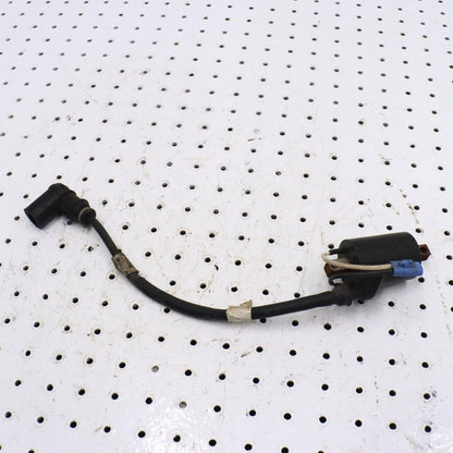 2014 POLARIS PRO RMK 800 IGNITION COIL 4014009