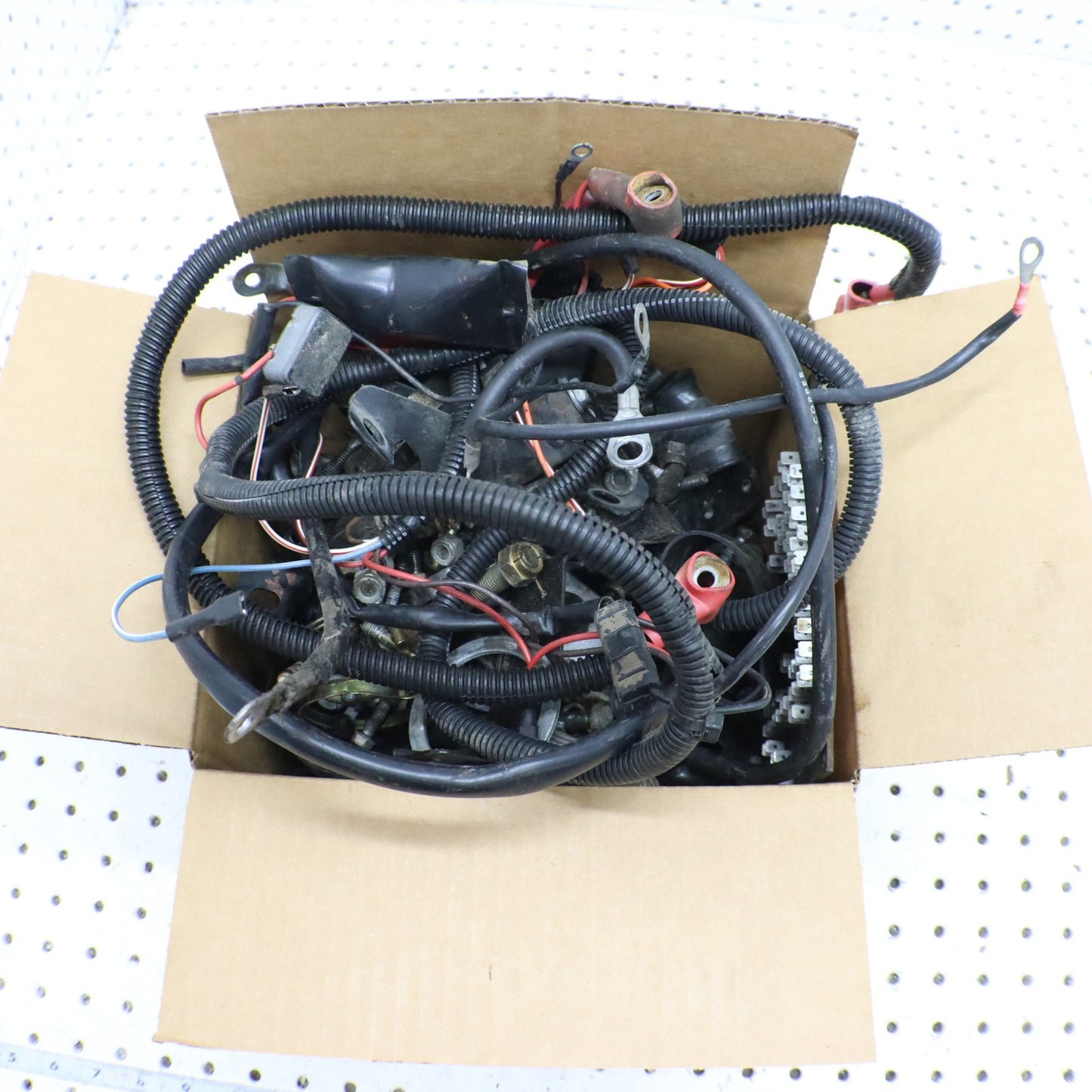 1995 Polaris Xplorer 400 Hardware Nuts Bolts Fasteners