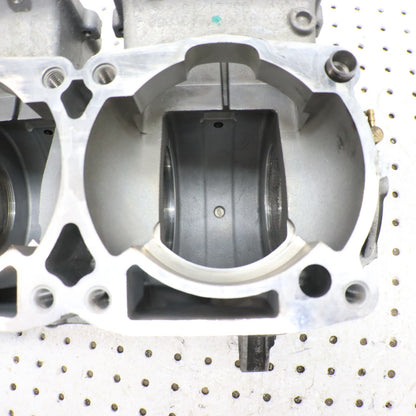 2016 Polaris Rush 800 Crankcase Engine Case Crank Case 2205651; 2207329 CORE