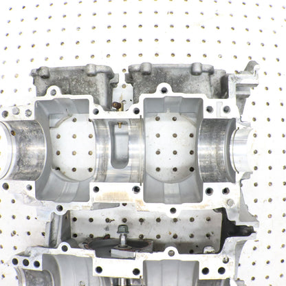 2017 Polaris Pro Rmk 800 Crankcase Engine Case Motor Case 2205651; 2207329 