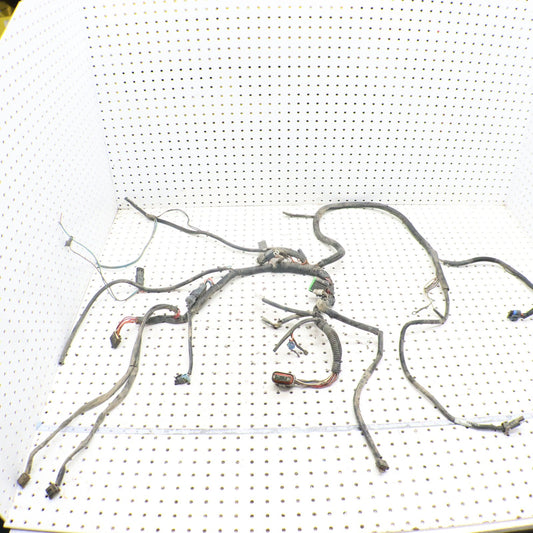 2004 Polaris Sportsman 500 Wire Harness 2461192