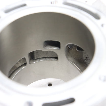 2012 Arctic Cat Proclimb M800 Cylinder Jug 3007-849