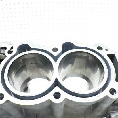 2009 Polaris Sportsman Xp 850 Crankcase Engine Case 2204054; 2204957; 5632167